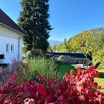 Eulenhorst Ruhiges Am Millstaetter Mit Sonnenterasse & Bergblick - Daire