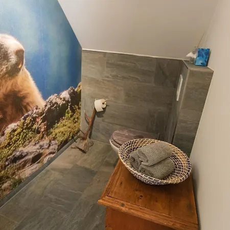 Eulenhorst Ruhiges Am Millstaetter Mit Sonnenterasse & Bergblick 公寓