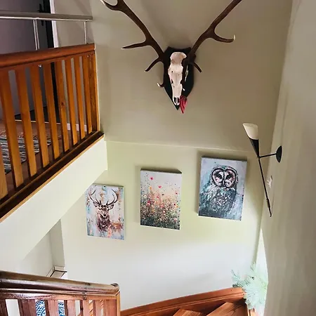 Eulenhorst Ruhiges Am Millstaetter Mit Sonnenterasse & Bergblick -