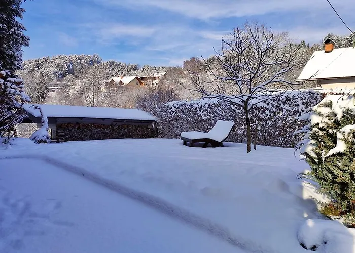 Eulenhorst Ruhiges Am Millstaetter Mit Sonnenterasse & Bergblick - * Seeboden